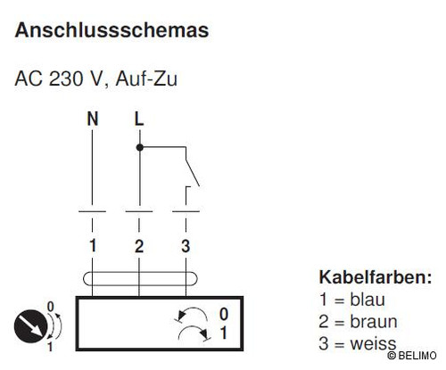 Artikelbild