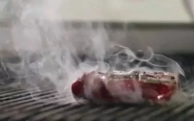 INFUSER Ozongeneratoren für die Küchenabluft